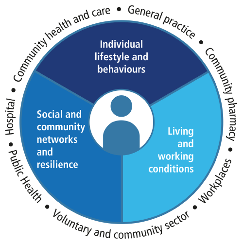 Place Alliances Diagram, showing, inside the circle, social and community networks and resilience; living and working conditions; and individual lifestyle and behaviours. Outside the circle is general practice, community pharmacy, workplaces, voluntary and community sector, public health, hospital, and community health and care