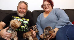 A man and woman sit together on a settee, both smiling and holding pet dogs