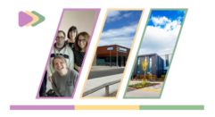 DLN newsletter web pic